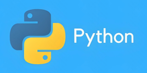 Python 测试脚本开发核心语法：从入门到实战上手